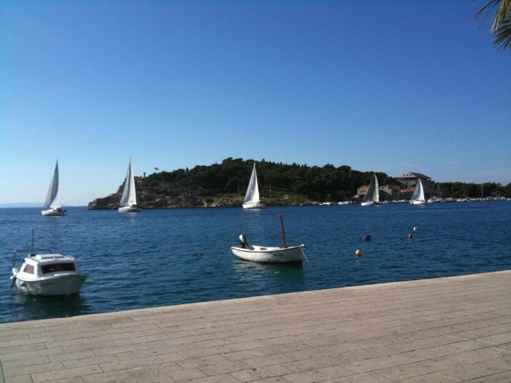 Palma *